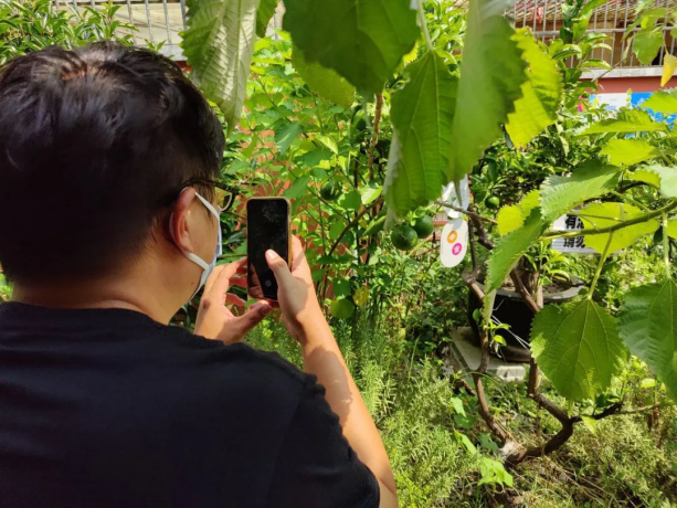 图片4.png 图片4.png