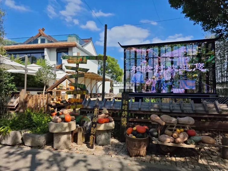 一二三四|青浦秋日疗愈系轻居,每一家都想住一遍…… 一二三四|青浦秋日疗愈系轻居,每一家都想住一遍……