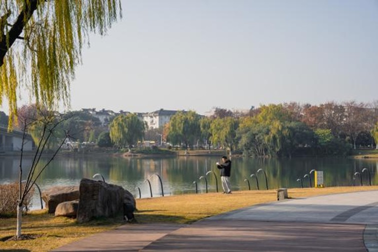 冬日“沪”水游,青浦新城:冬境绮梦,水韵流长 冬日“沪”水游,青浦新城:冬境绮梦,水韵流长
