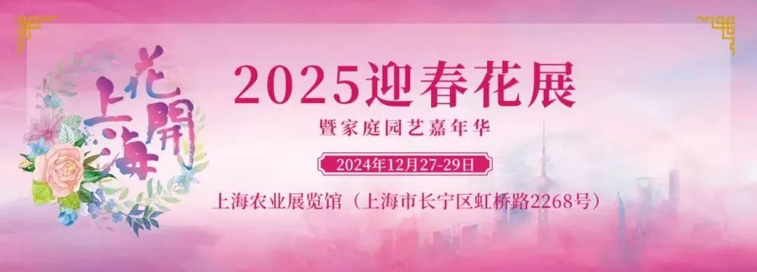 爱花人的盛会!2025迎春花展将在长宁这里举行→1.jpg 爱花人的盛会!2025迎春花展将在长宁这里举行→1.jpg