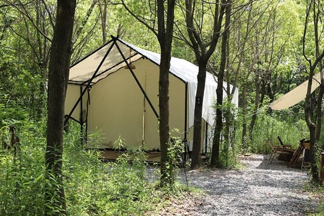 0927_092957_243.jpg 微信图片_20240927092613.jpg