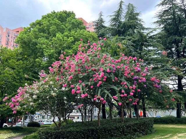 0830_141438_145.jpg 微信图片_20240830095913.jpg