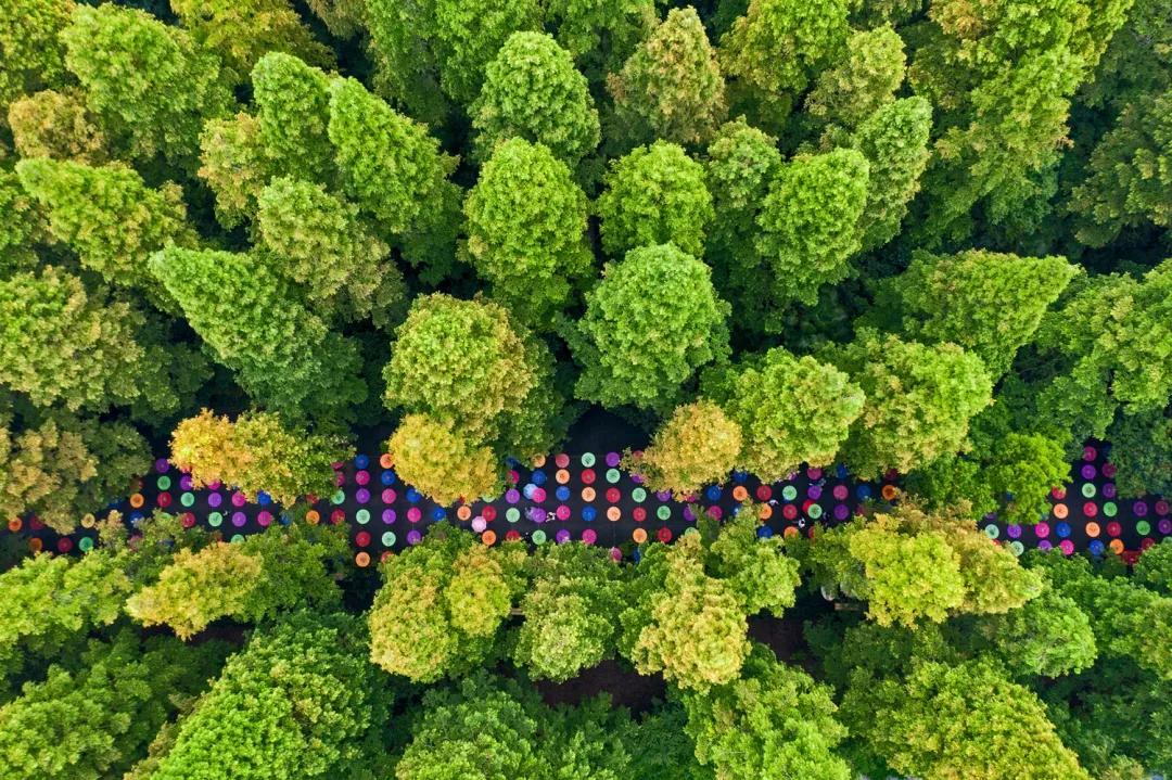 20241009090516047329.jpg 20241009090516047329.jpg