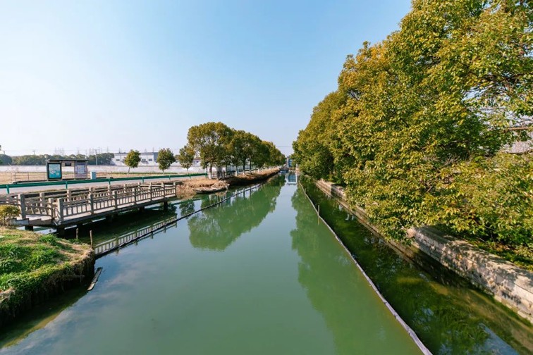 江南春景水一半,12处小流域绘青浦生态美域 江南春景水一半,12处小流域绘青浦生态美域