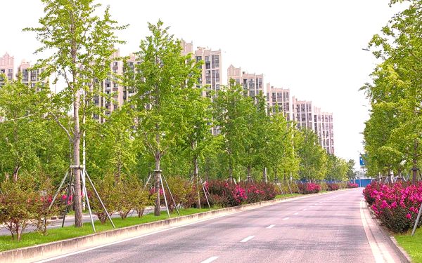 微信图片_20230713150227.jpg 微信图片_20230713150227.jpg