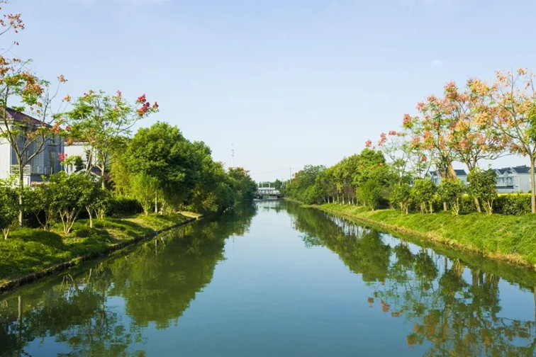 江南春景水一半,12处小流域绘青浦生态美域 江南春景水一半,12处小流域绘青浦生态美域