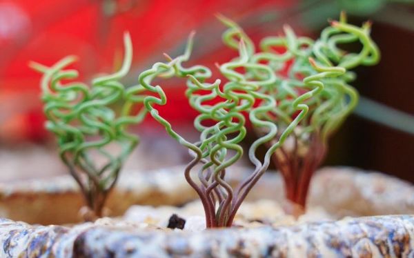 DSC09647.jpg DSC09647.jpg