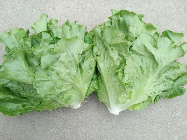 入选“国”字号!这几种青浦特色农产品,每一款都超赞~ 入选“国”字号!这几种青浦特色农产品,每一款都超赞~