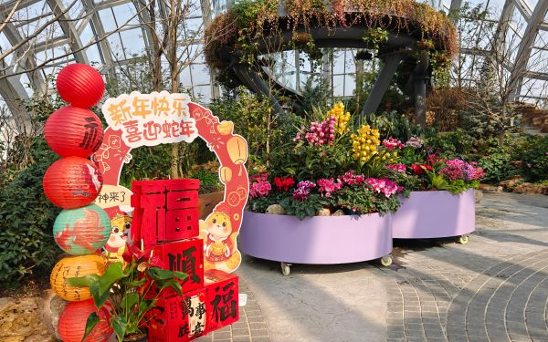 9--植物园1.jpg 9--植物园1.jpg