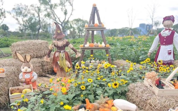 微信图片_20240927170857.jpg 微信图片_20240927170857.jpg