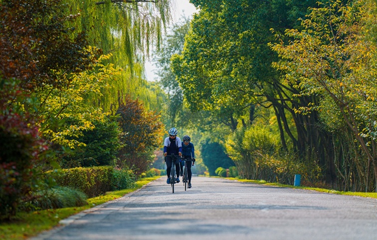 随着镜头中的涟漪,在水韵流转中感受青浦水美乡村 随着镜头中的涟漪,在水韵流转中感受青浦水美乡村
