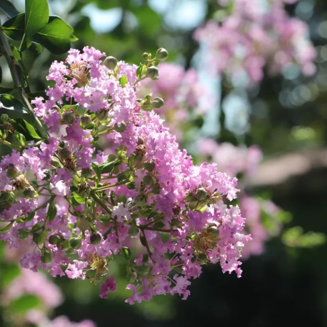 0830_141151_917.jpg 微信图片_20240830095833.png