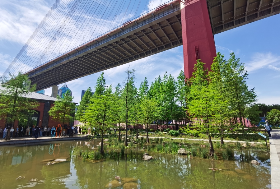 杨浦大桥下的“生境东岸”.jpg 杨浦大桥下的“生境东岸”.jpg