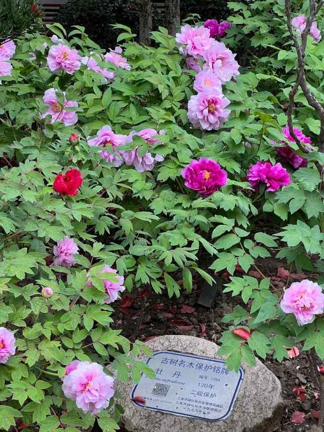 0307_144707_450.jpg 微信图片_2025-03-07_103657_832.jpg