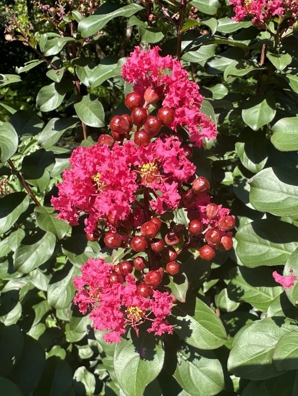 0830_141229_892.jpg 微信图片_20240830095856.jpg