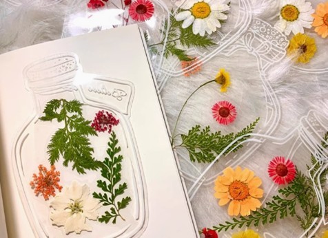 青浦区妇联活动预告:初春,遇见最美的你——妇女节特别活动,邀您共赴春日之约 青浦区妇联活动预告:初春,遇见最美的你——妇女节特别活动,邀您共赴春日之约