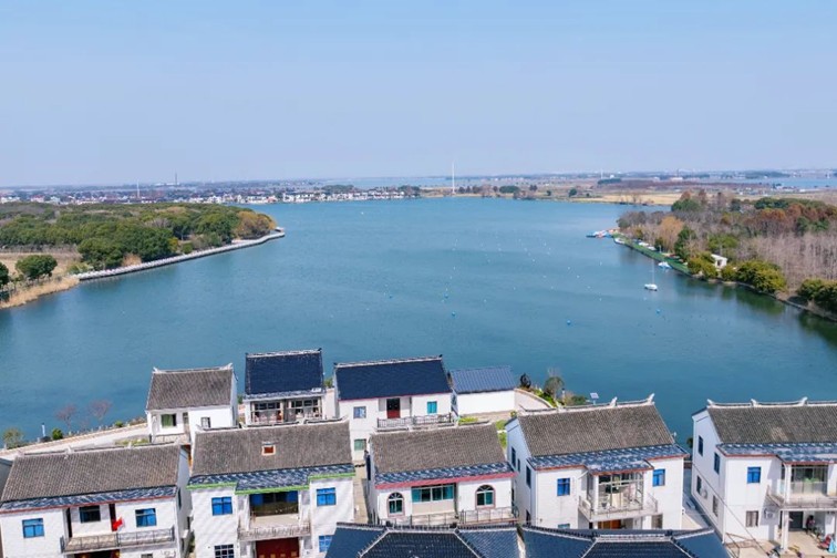 江南春景水一半,12处小流域绘青浦生态美域 江南春景水一半,12处小流域绘青浦生态美域