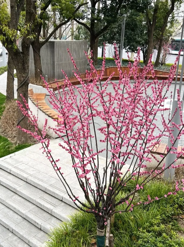 0227_102921_974.png 微信图片_2025-02-27_102920_276.png