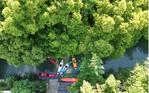 报名,2025年青浦区元旦迎新徒步活动,走起来! 报名,2025年青浦区元旦迎新徒步活动,走起来!