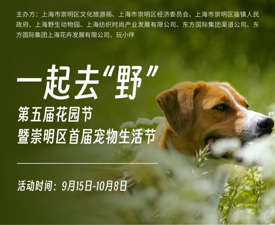 20240930144421053687.jpg 图片2.jpg