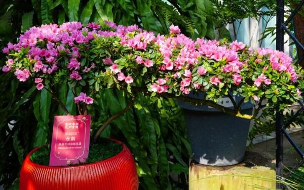 DSC09814.jpg DSC09814.jpg