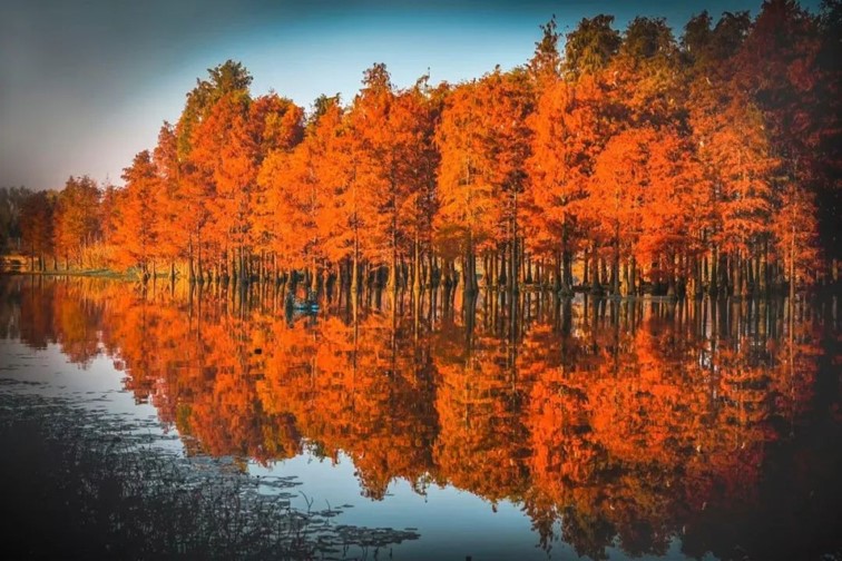 跟着半马游青浦|收藏!带你玩转线路周边吃喝玩乐全攻略! 跟着半马游青浦|收藏!带你玩转线路周边吃喝玩乐全攻略!