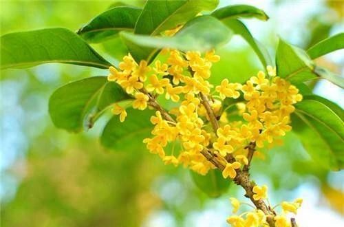 1021_130548_207.jpg 微信图片_20241021130358.jpg