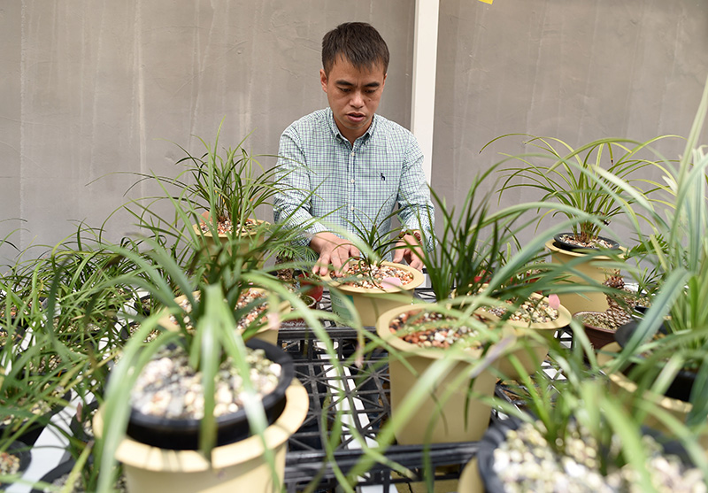 浙江省绍兴市柯桥区漓渚镇棠棣村的村民在照料兰花(2018年4月25日摄).jpg 浙江省绍兴市柯桥区漓渚镇棠棣村的村民在照料兰花(2018年4月25日摄).jpg