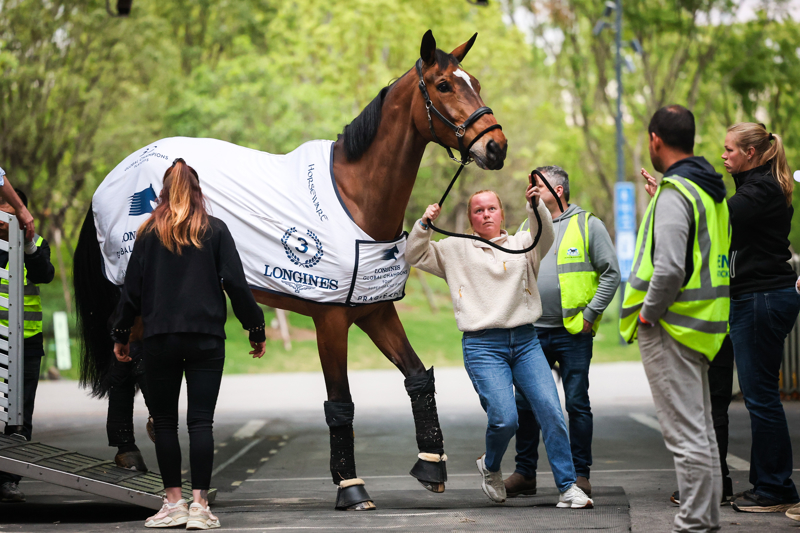 昨天,首批赛马运抵上海久事国际马术中心。记者 海沙尔 摄.jpg 昨天,首批赛马运抵上海久事国际马术中心。记者 海沙尔 摄.jpg