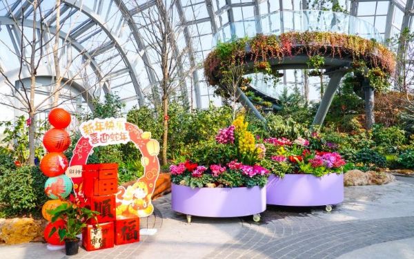 DSC09942.jpg DSC09942.jpg