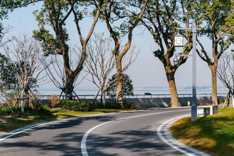 来青浦,骑行在青西“大河大湖”,太酷了! 来青浦,骑行在青西“大河大湖”,太酷了!