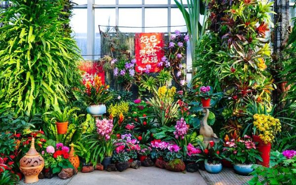 DSC09484.jpg DSC09484.jpg