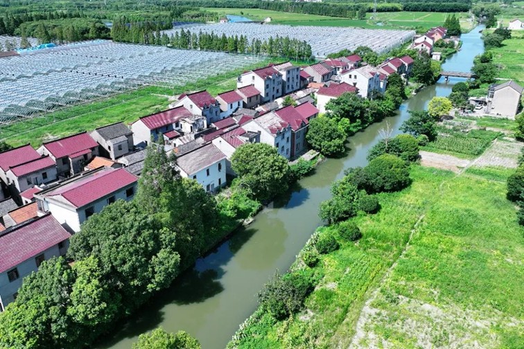 江南春景水一半,12处小流域绘青浦生态美域 江南春景水一半,12处小流域绘青浦生态美域