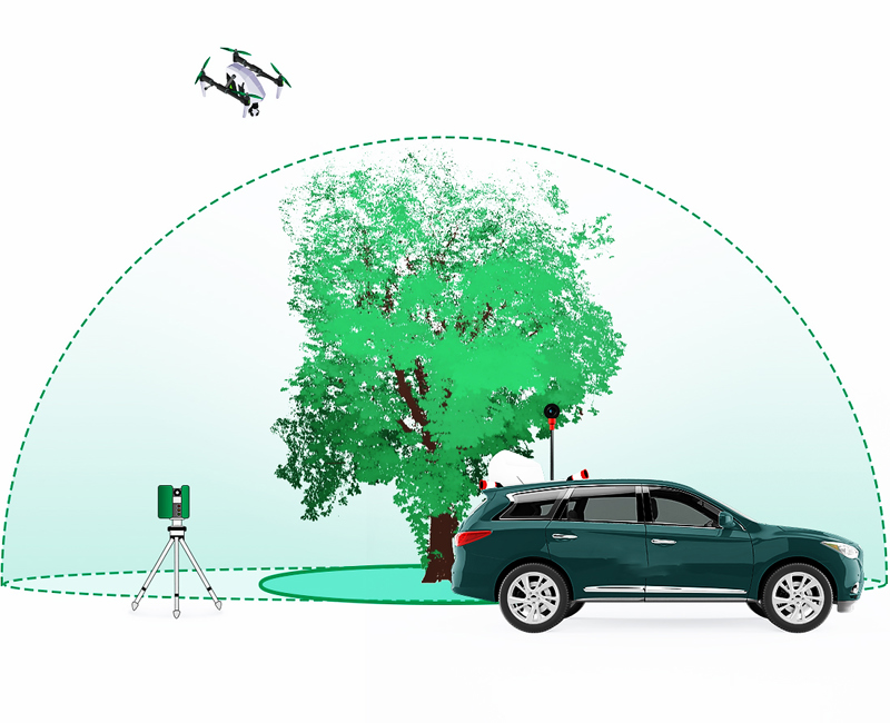 行道树体检体系概念图.jpeg 行道树体检体系概念图.jpeg