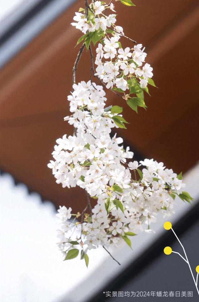 318青浦旅游日丨春日限定!青浦几大商场各出奇招,邀你和春光碰头! 318青浦旅游日丨春日限定!青浦几大商场各出奇招,邀你和春光碰头!