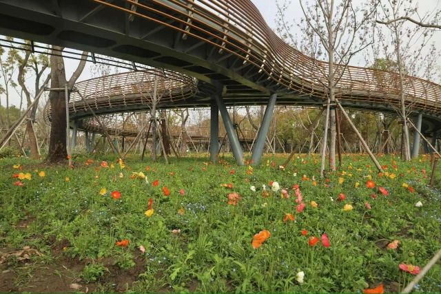 0407_121530_912.jpg 微信图片_2025-04-07_121354_099.jpg