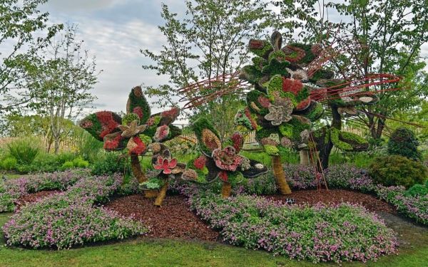 IMG20240926164732.jpg IMG20240926164732.jpg