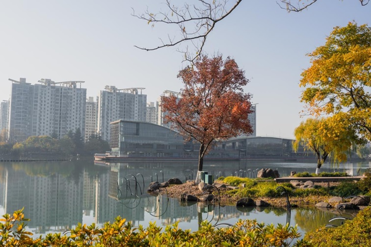 冬日“沪”水游,青浦新城:冬境绮梦,水韵流长 冬日“沪”水游,青浦新城:冬境绮梦,水韵流长