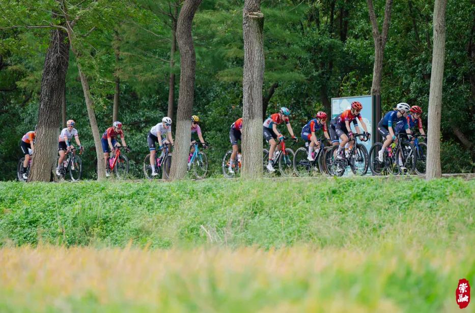 图片24.jpg 图片24.jpg