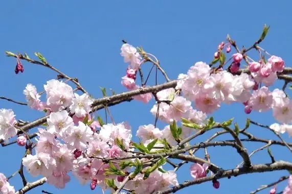 0324_143706_900.jpg 微信图片_2025-03-24_121522_603.jpg