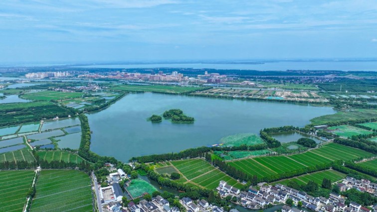 秋水伊人,来青浦,乘坐公共交通邂逅初秋水岸的一缕风凉! 秋水伊人,来青浦,乘坐公共交通邂逅初秋水岸的一缕风凉!