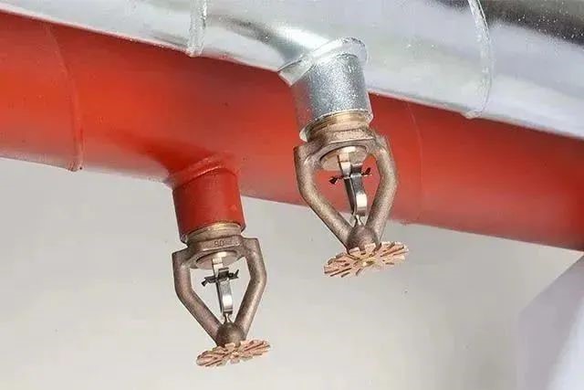 护航进博|致青浦区快递物流企业的倡议书 护航进博|致青浦区快递物流企业的倡议书