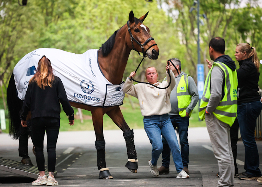 赛马抵沪 上海浪琴环球马术冠军赛周五开赛