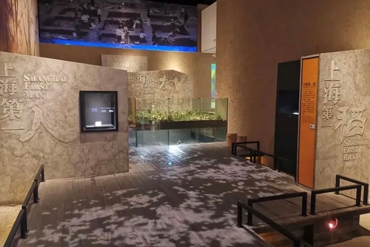 会·聚青浦|入住颜值与舒适并存的青浦民宿,隐逸乡野,静享秋欢! 会·聚青浦|入住颜值与舒适并存的青浦民宿,隐逸乡野,静享秋欢!