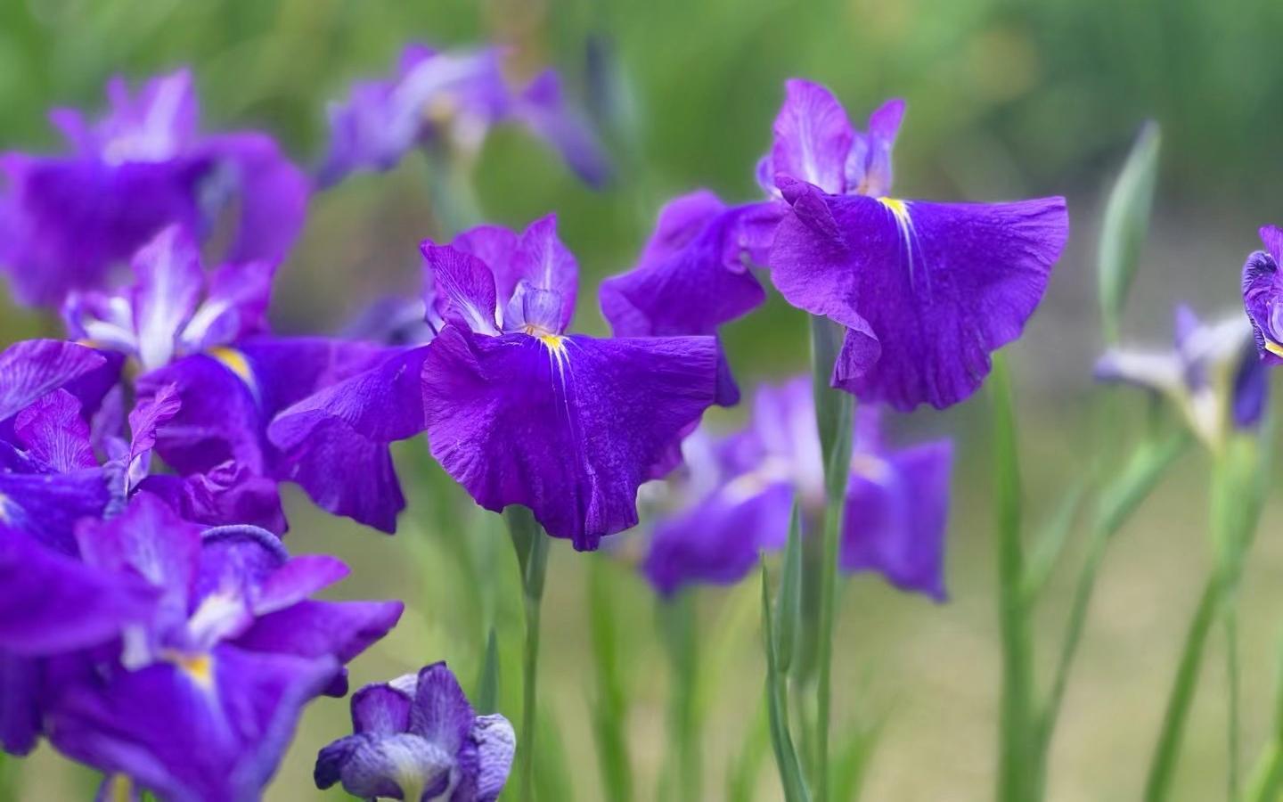 微信图片_20240521170848.jpg 微信图片_20240521170848.jpg