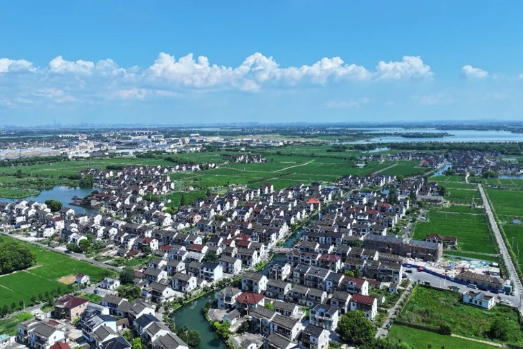 江南春景水一半,12处小流域绘青浦生态美域 江南春景水一半,12处小流域绘青浦生态美域