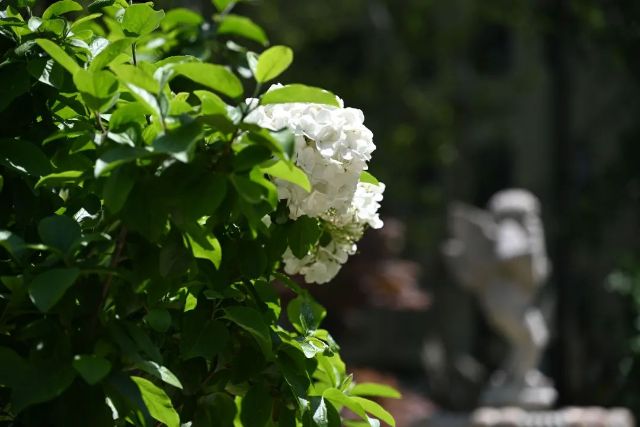 0421_152717_805.jpg 微信图片_2025-04-21_142029_589.jpg