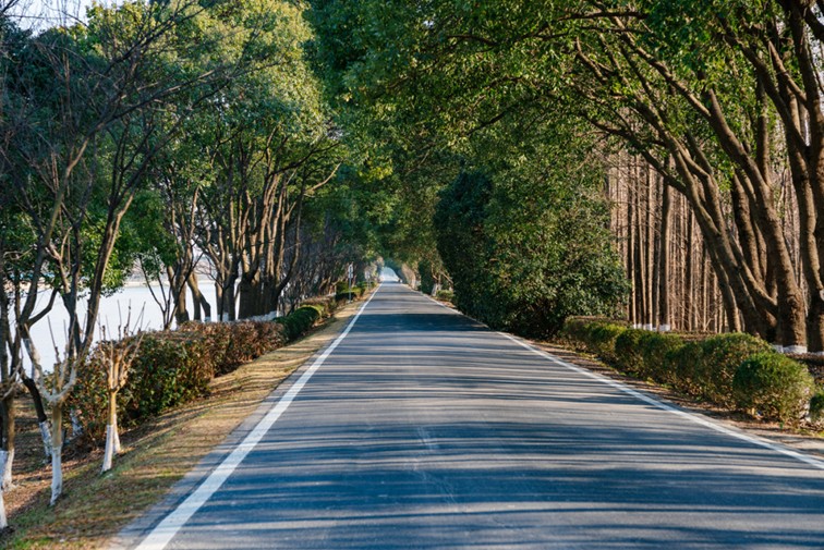 来青浦,骑行在青西“大河大湖”,太酷了! 来青浦,骑行在青西“大河大湖”,太酷了!