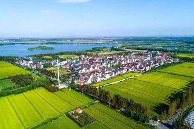 随着镜头中的涟漪,在水韵流转中感受青浦水美乡村 随着镜头中的涟漪,在水韵流转中感受青浦水美乡村