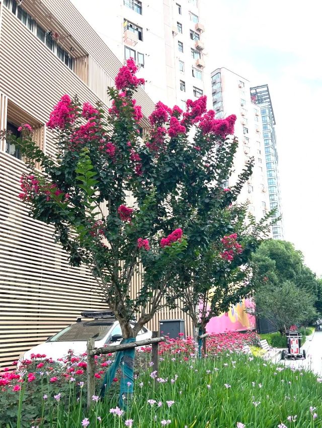 0830_141447_956.jpg 微信图片_20240830095917.jpg